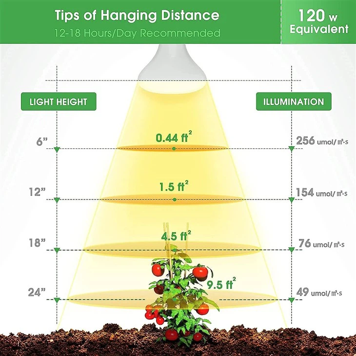 Full Spectrum Grow Light Bulb 12W detaiis