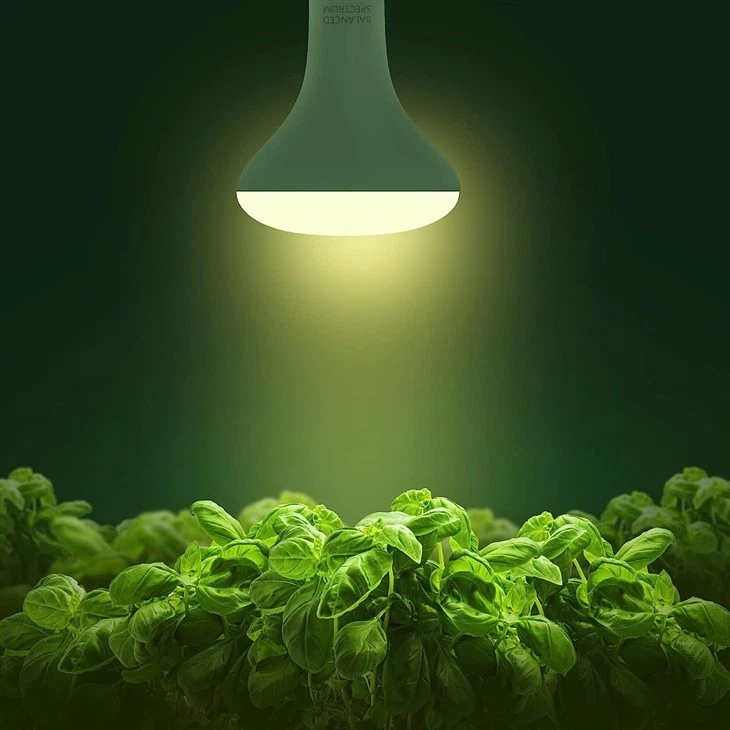 Full Spectrum Grow Light Bulb 12W