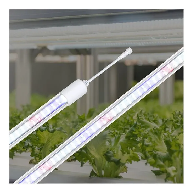 grow light light bulbs
