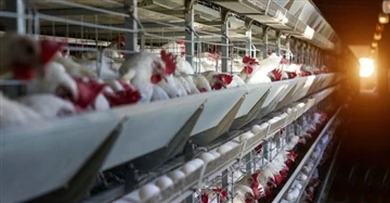 Ελαφριά διέγερση εμπορικών στρωμάτων