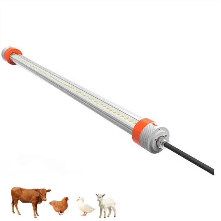 Predator Lights For Chicken Coop