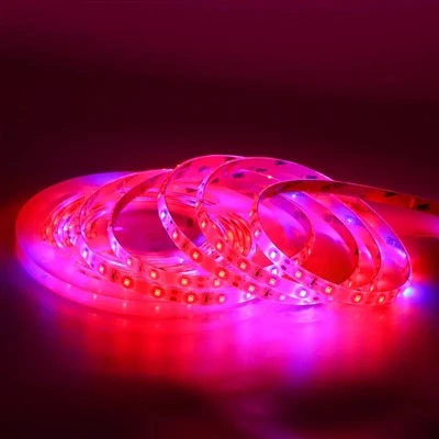 Λωρίδα φωτός εξωτερικού χώρου Rgb