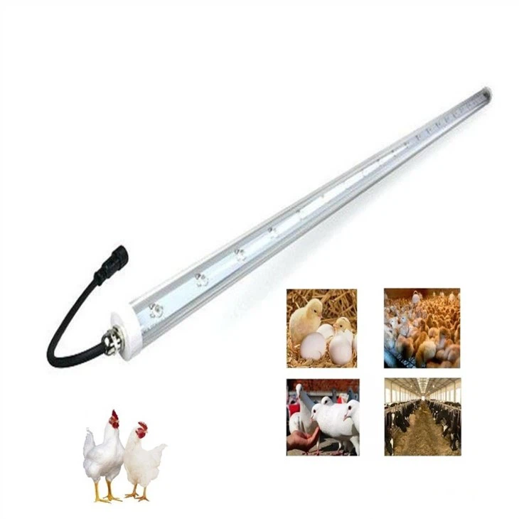 chicken coop lighting system -