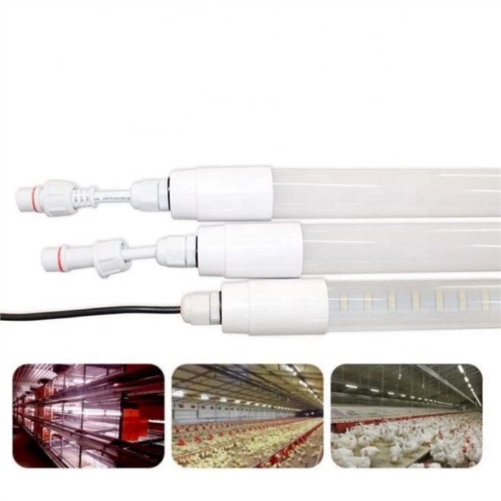 chicken coop lighting kit