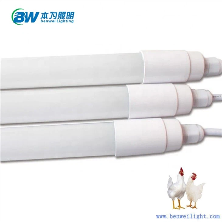 9w Waterproof Chicken Light