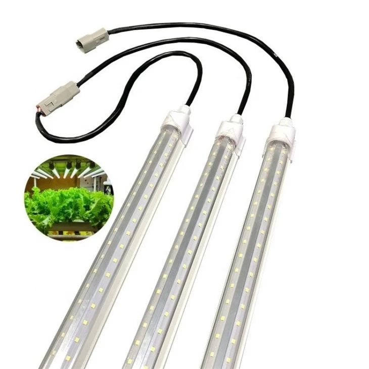 led grow lights for indoor plants