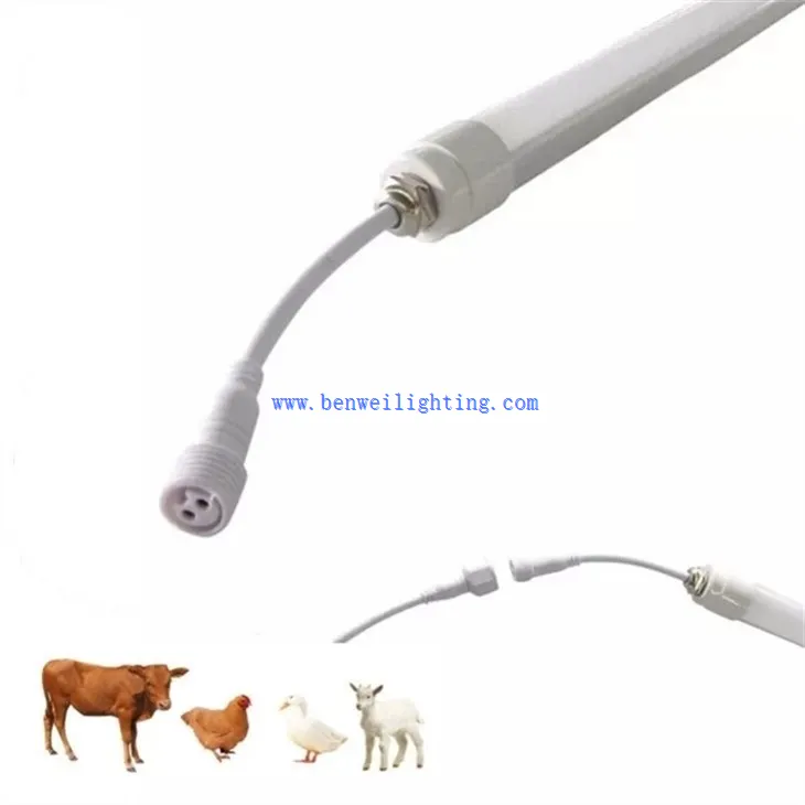 Breeding Tube Light (1)