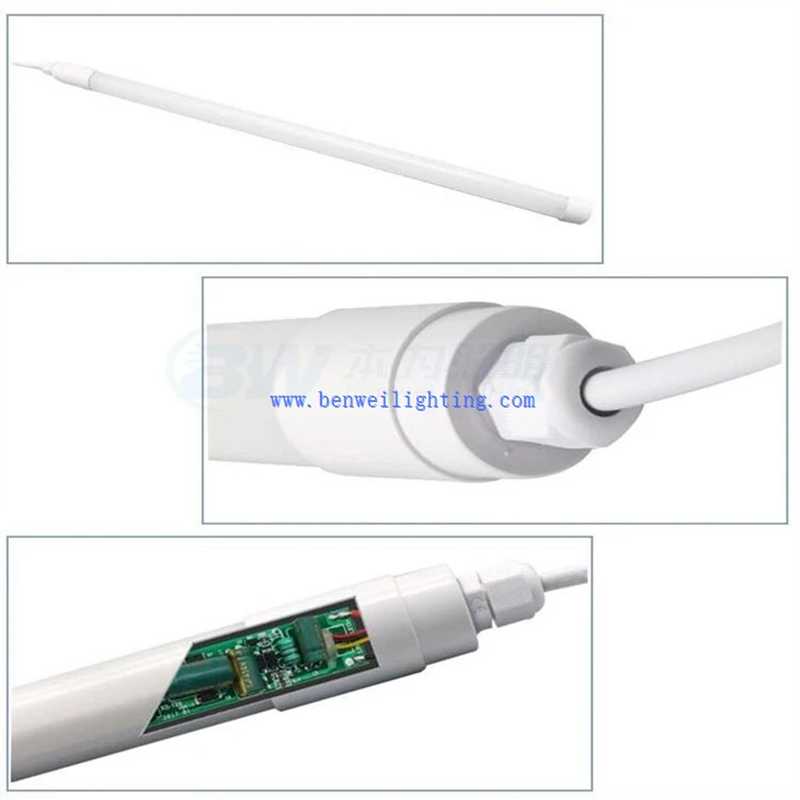 Broiler Rearing Light (3)