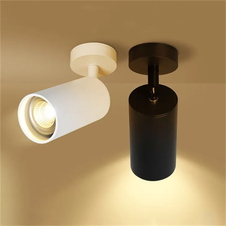 Directional Track Light