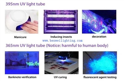 Discovering the Invisible: Ultimate Guide to 395 and 365 Nanometer Lamp Lamps