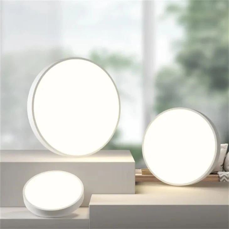 LED Ceiling Lamp Dimmable Circular Home Lamp