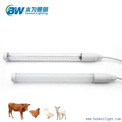 Κοτόπουλο Light 25w 5000k