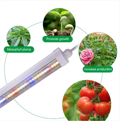 Φωτιστικό T8 Growning Led Led Indoor Grow Light
